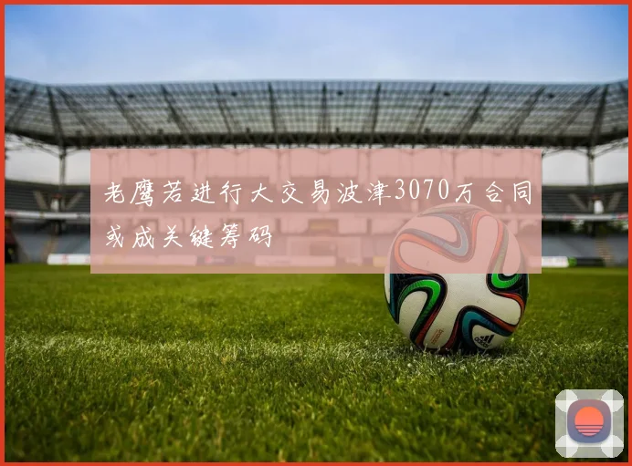 老鹰若进行大交易波津3070万合同或成关键筹码