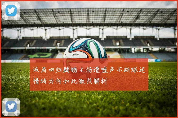 浓眉回归鹈鹕主场遭嘘声不断球迷情绪为何如此激烈解析